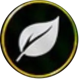 Eco Racing